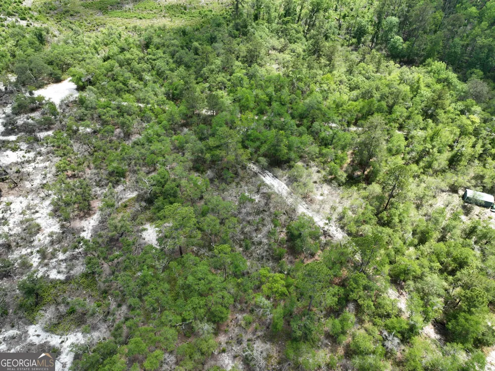 8 Old Highway 46   (24.84 ac) Twin City, GA 30471