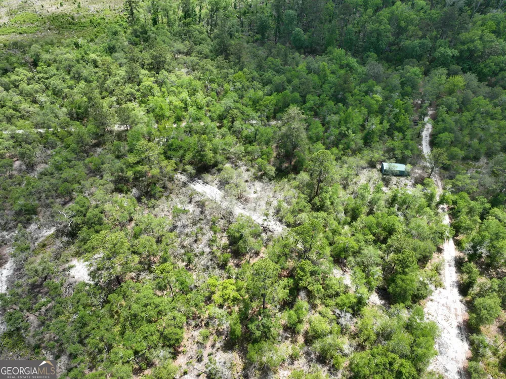 8 Old Highway 46   (24.84 ac) Twin City, GA 30471