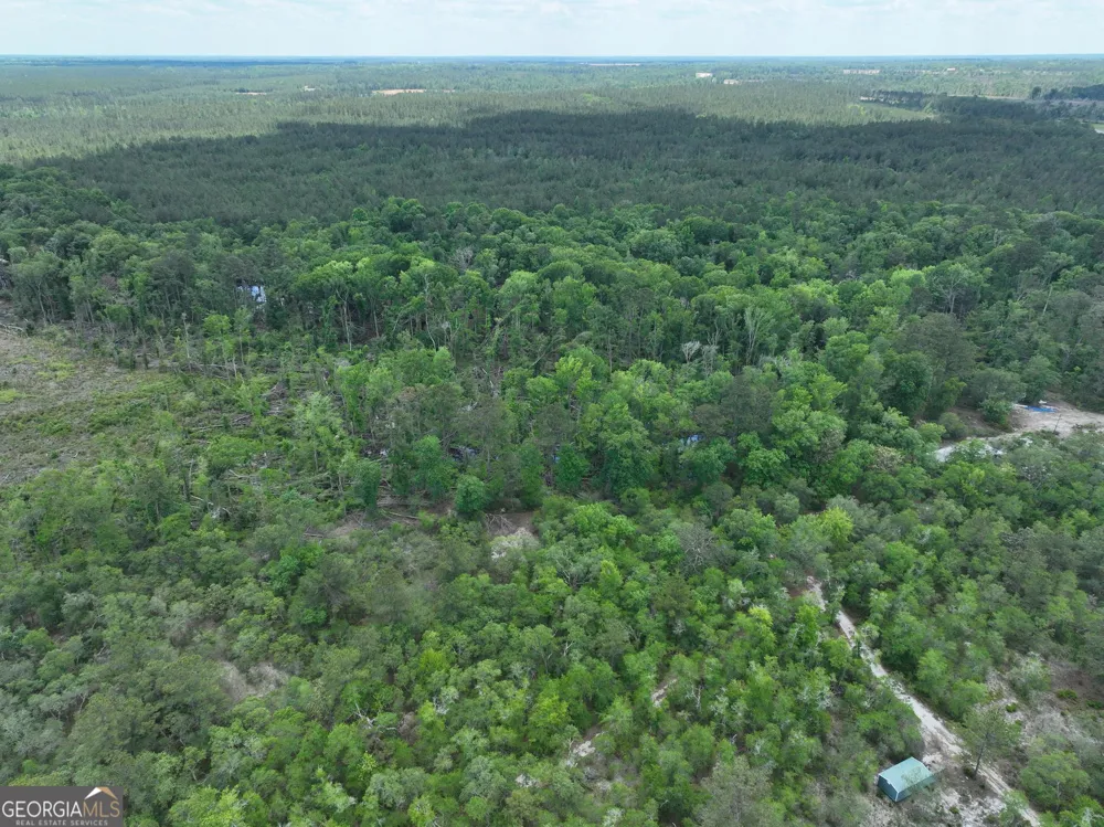 8 Old Highway 46   (24.84 ac) Twin City, GA 30471