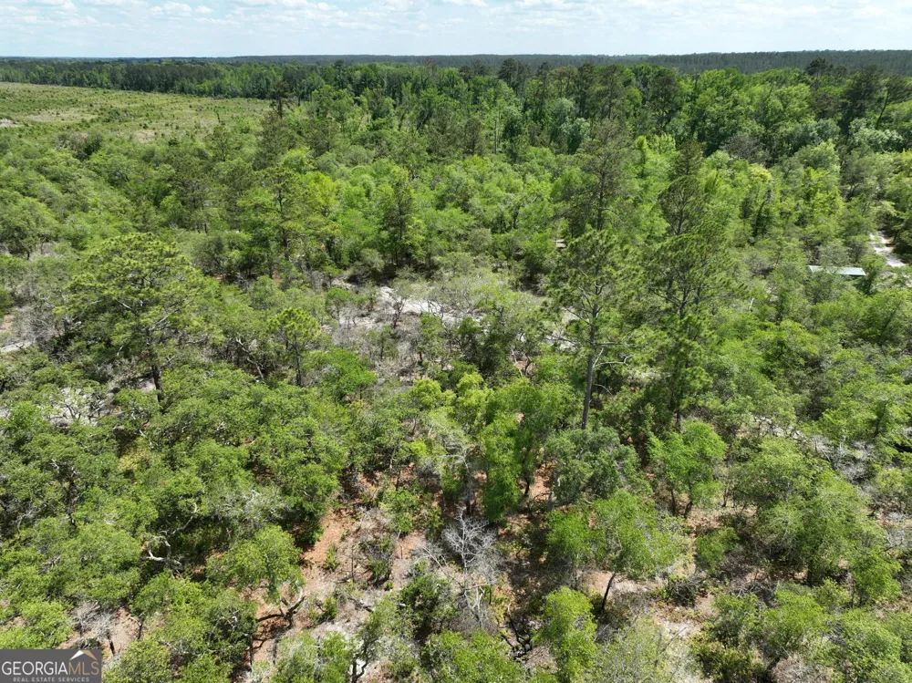 8 Old Highway 46   (24.84 ac) Twin City, GA 30471