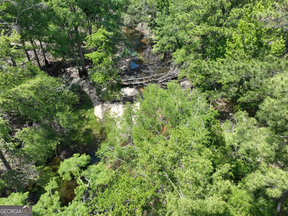 8 Old Highway 46   (24.84 ac) Twin City, GA 30471