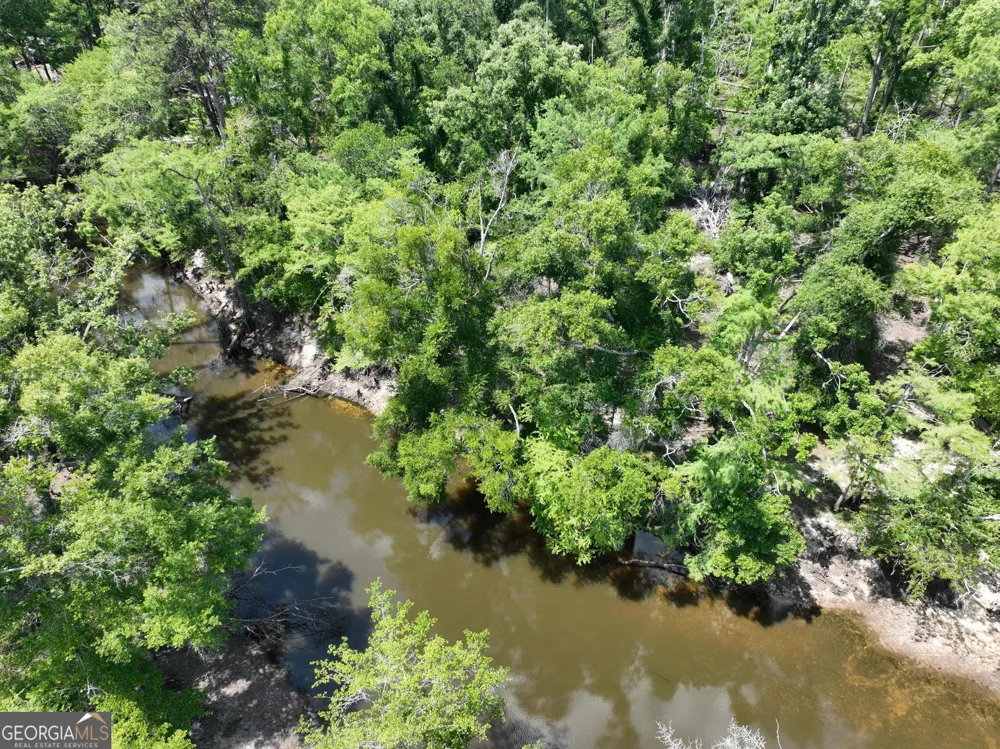 8 Old Highway 46   (24.84 ac) Twin City, GA 30471