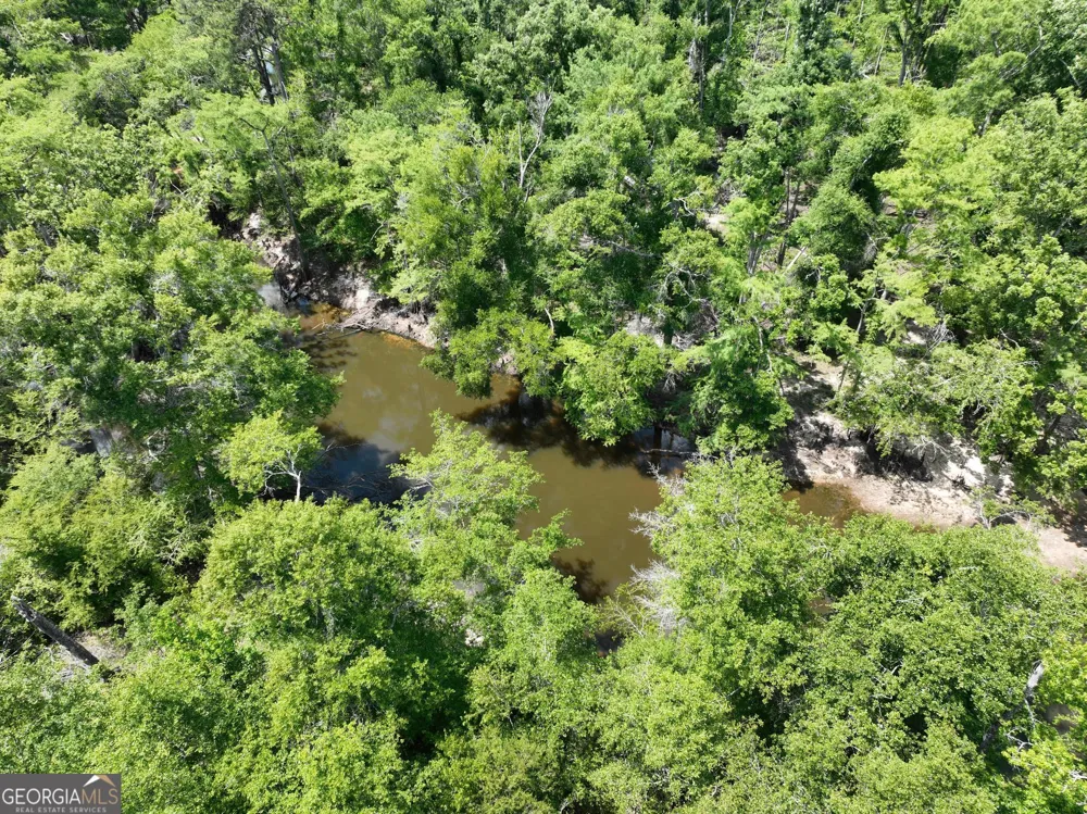 8 Old Highway 46   (24.84 ac) Twin City, GA 30471