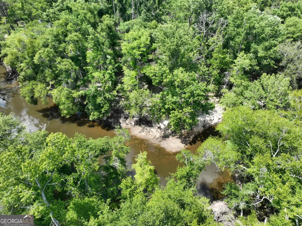 8 Old Highway 46   (24.84 ac) Twin City, GA 30471