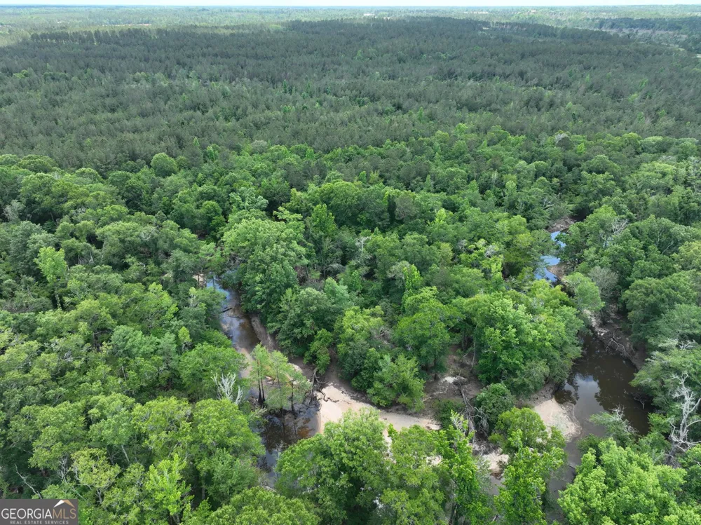 8 Old Highway 46   (24.84 ac) Twin City, GA 30471