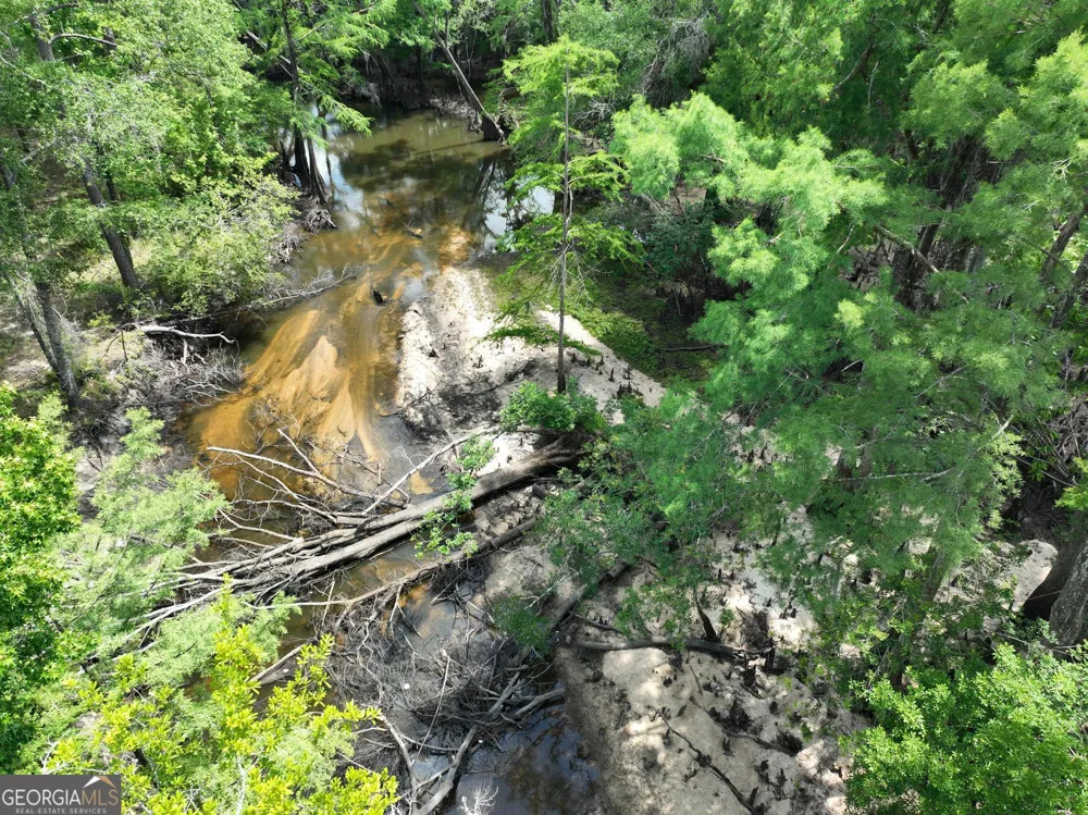 8 Old Highway 46   (24.84 ac) Twin City, GA 30471