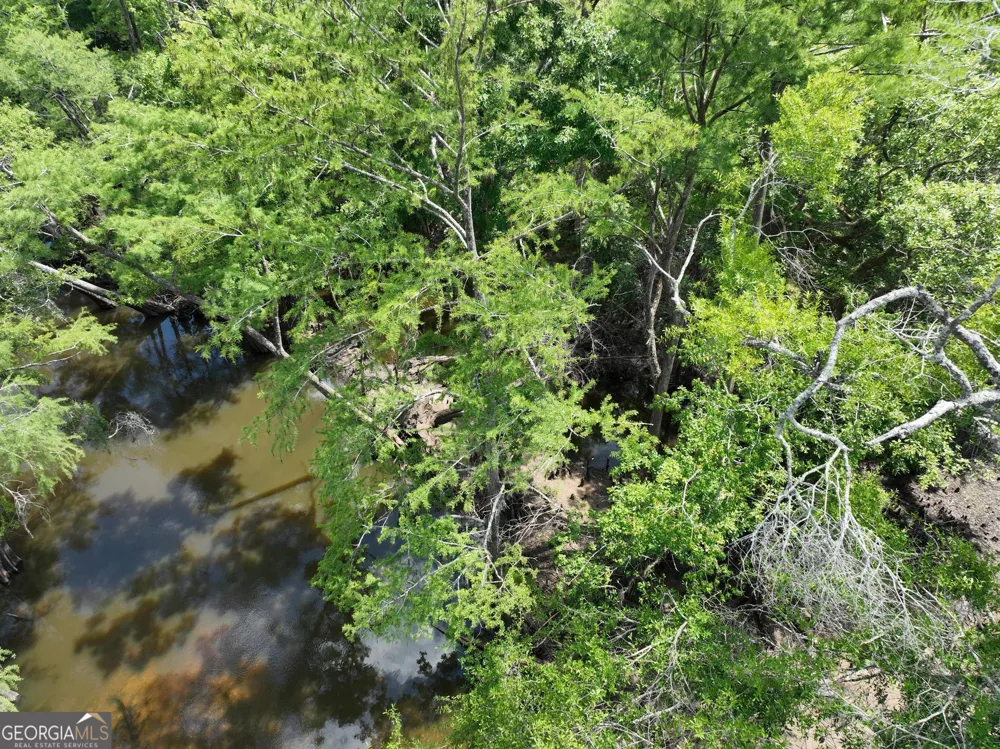 8 Old Highway 46   (24.84 ac) Twin City, GA 30471