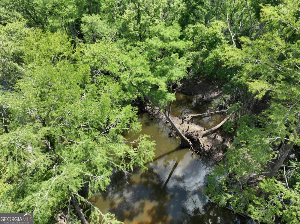 8 Old Highway 46   (24.84 ac) Twin City, GA 30471