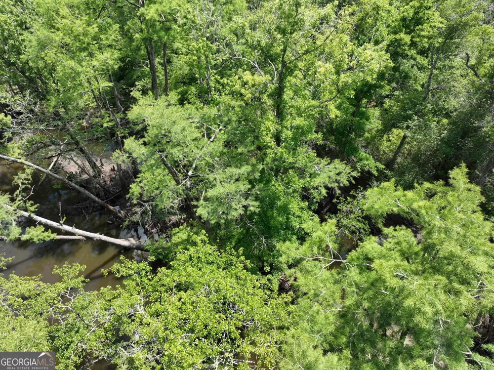 8 Old Highway 46   (24.84 ac) Twin City, GA 30471