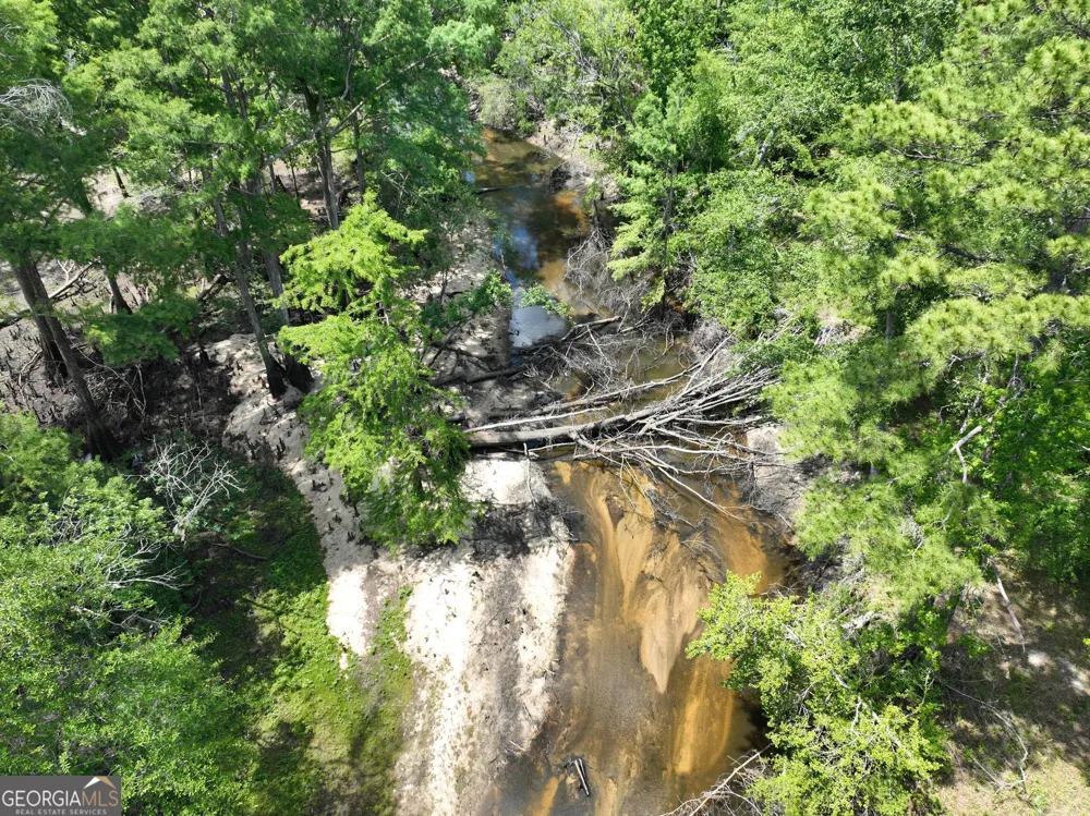 8 Old Highway 46   (24.84 ac) Twin City, GA 30471