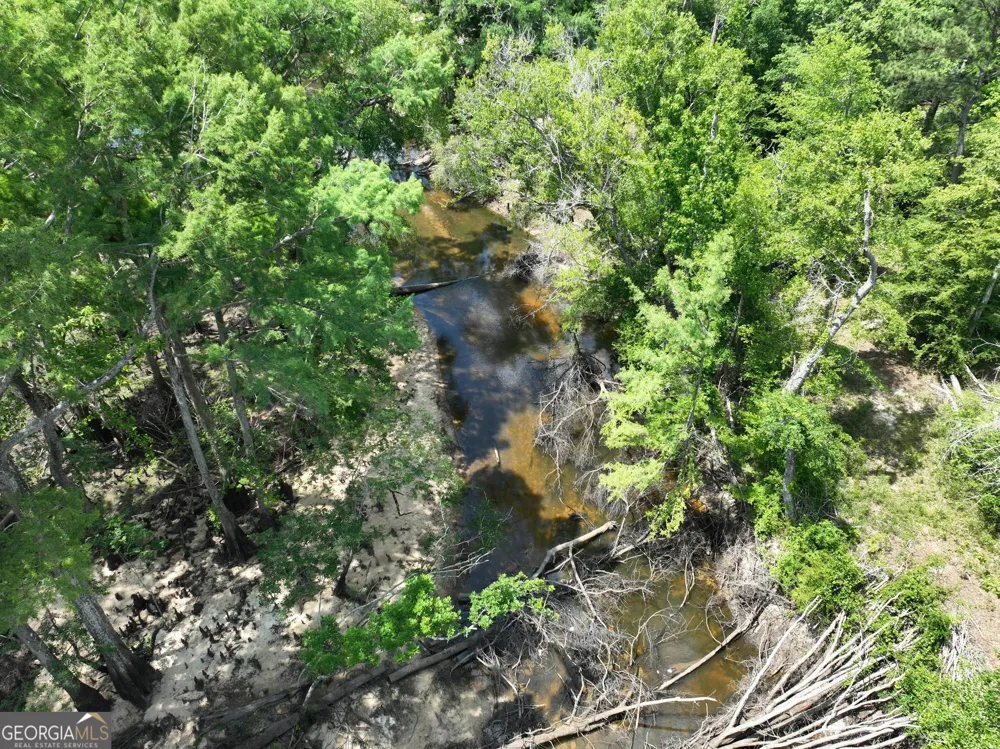 8 Old Highway 46   (24.84 ac) Twin City, GA 30471