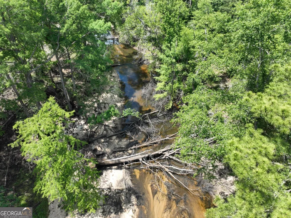 8 Old Highway 46   (24.84 ac) Twin City, GA 30471