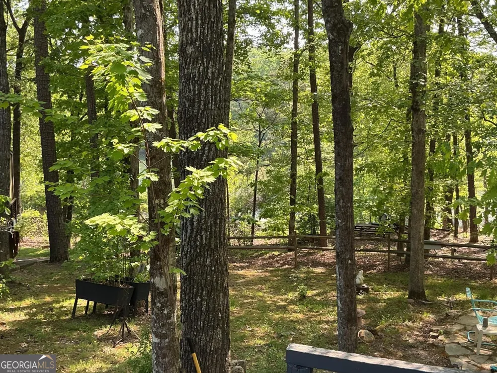 1157 Mountain Shadows DR Cleveland, GA 30528