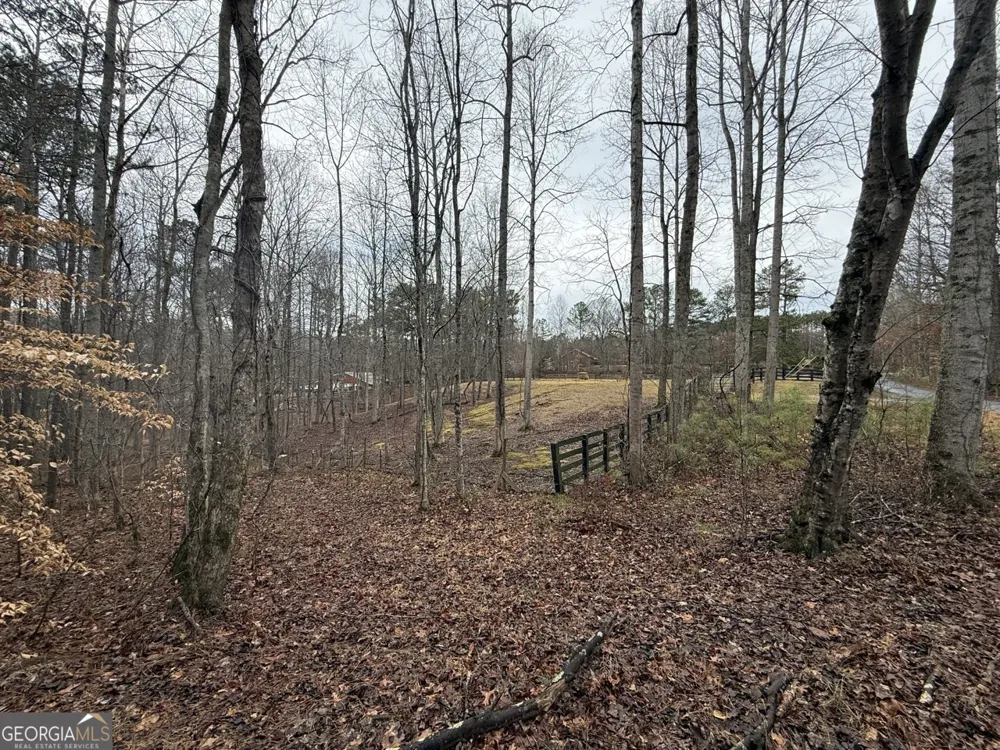 1666 Rock Springs LN Woodstock, GA 30188