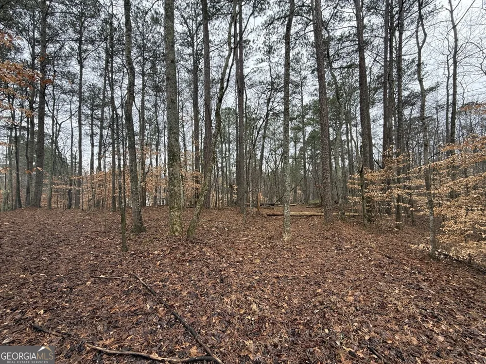 1666 Rock Springs LN Woodstock, GA 30188