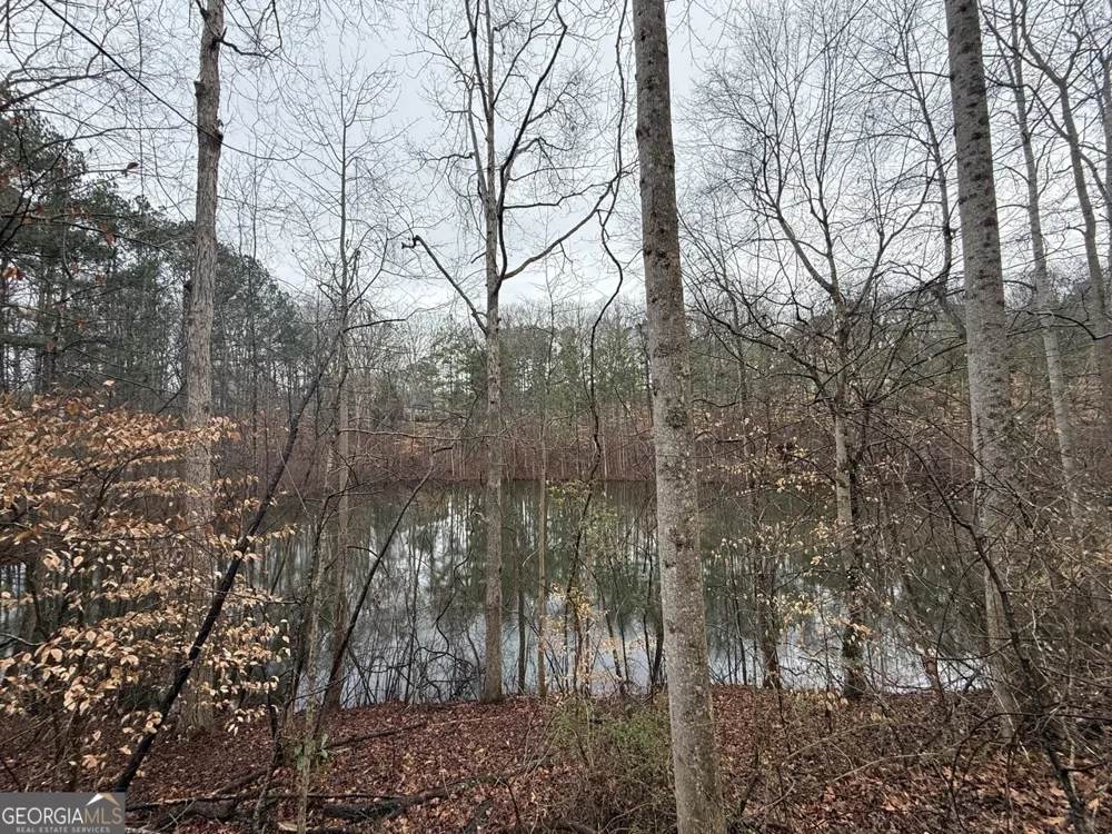1666 Rock Springs LN Woodstock, GA 30188