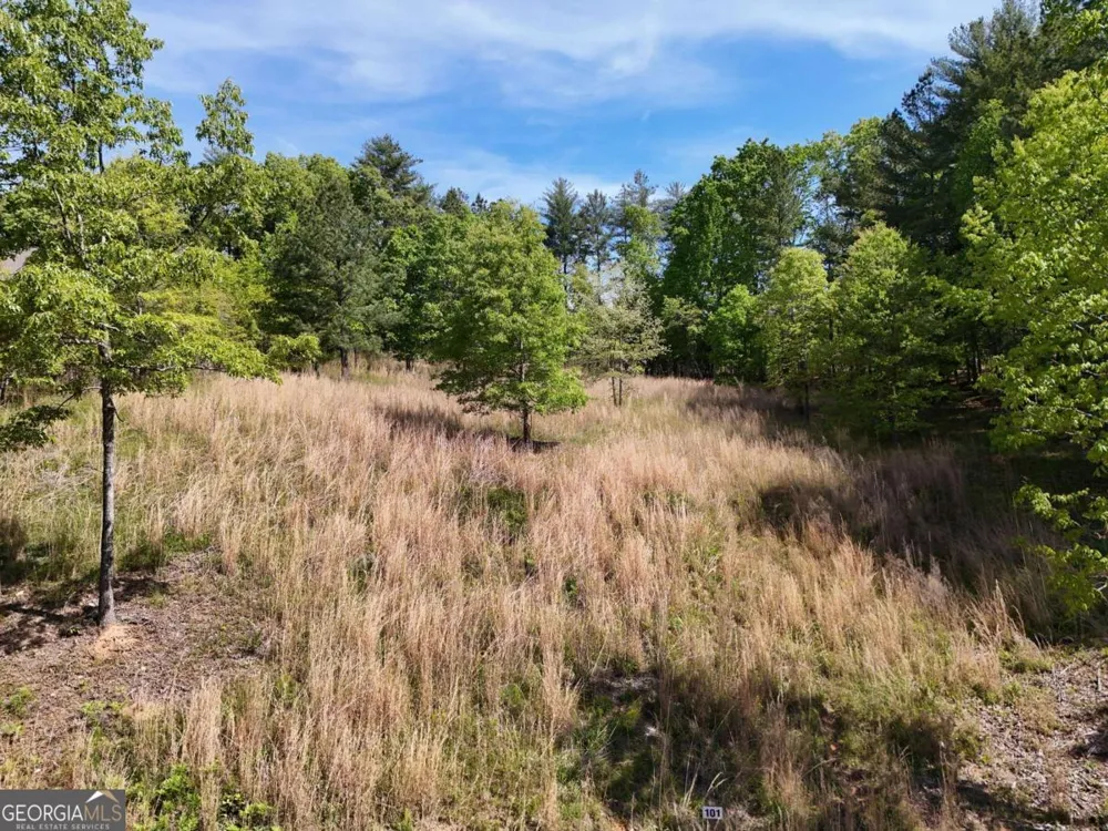 LOT 101 Big Knoll DR Blairsville, GA 30512