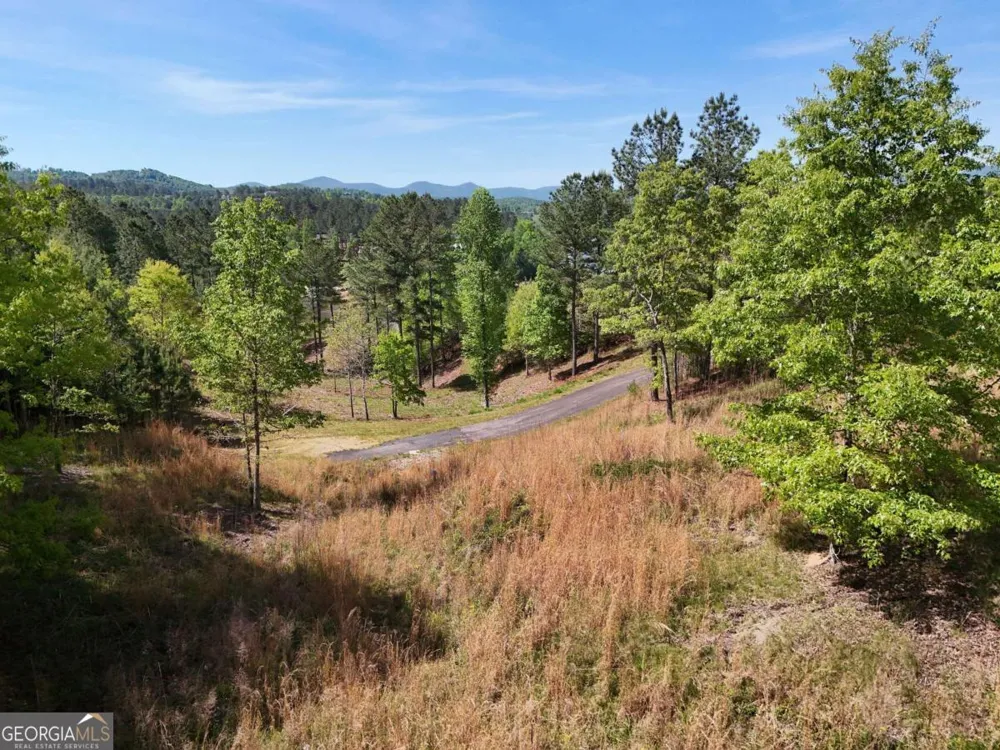 LOT 101 Big Knoll DR Blairsville, GA 30512