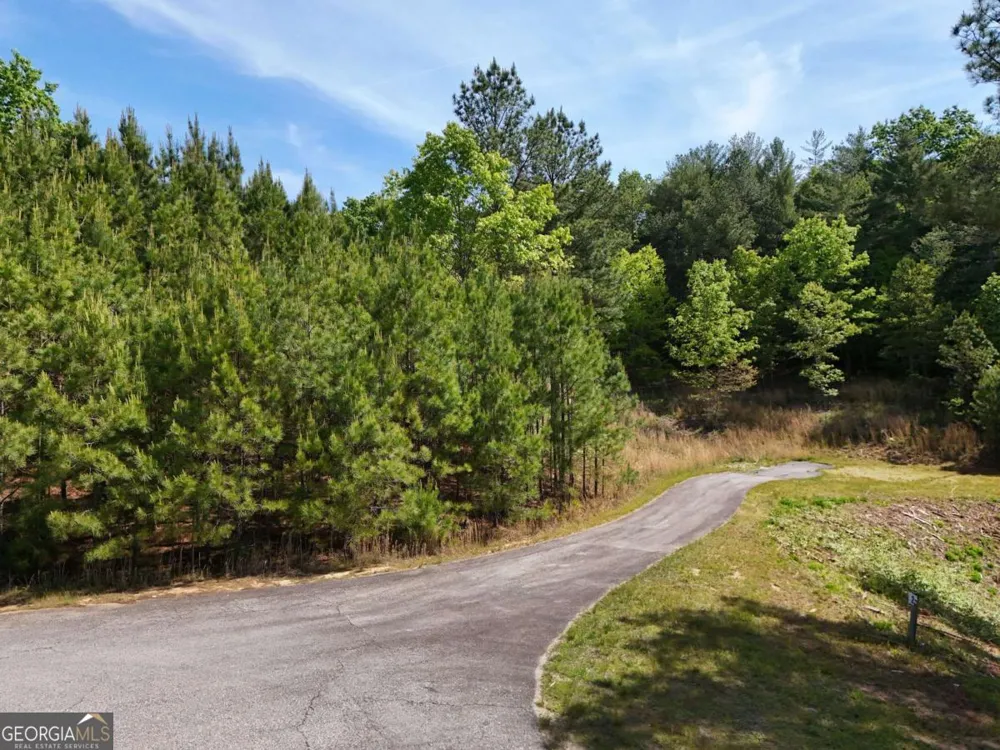 LOT 101 Big Knoll DR Blairsville, GA 30512
