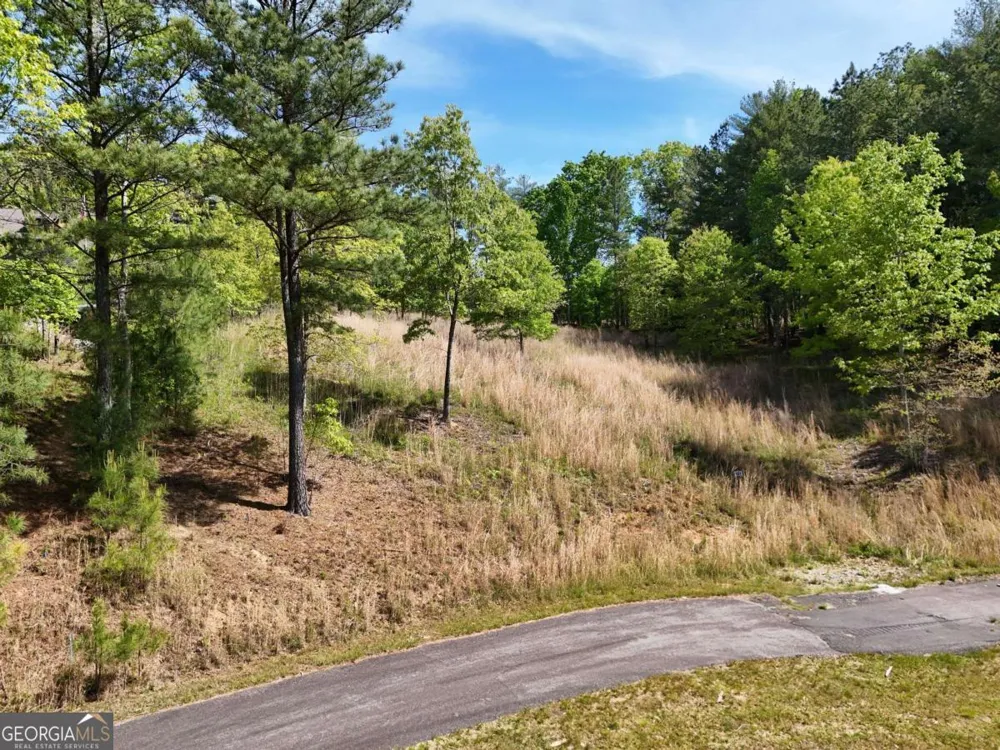 LOT 101 Big Knoll DR Blairsville, GA 30512