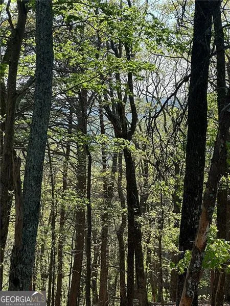 141 Wood Fern KNL Big Canoe, GA 30143