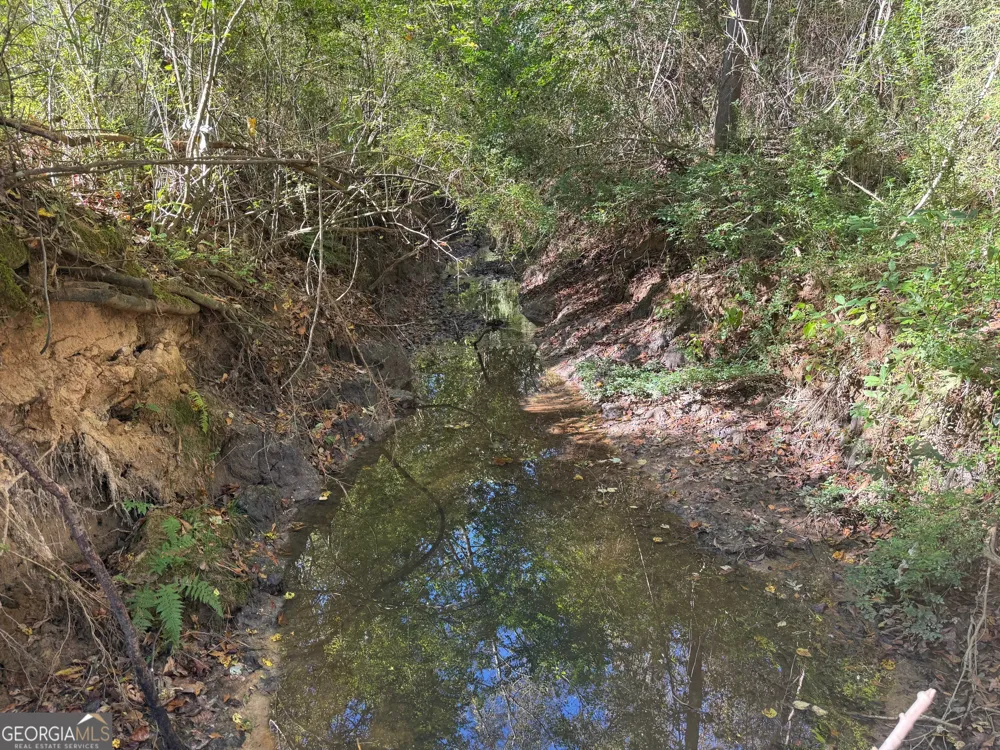 35 AC Hwy 109 Zebulon, GA 30295