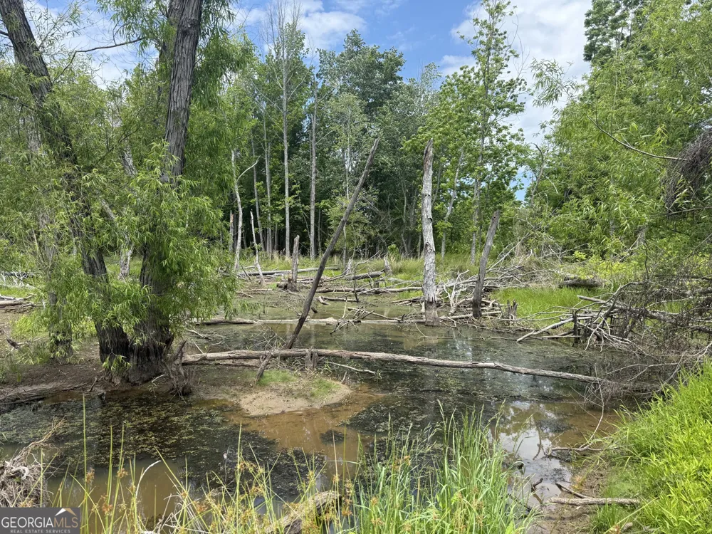 35 AC Hwy 109 Zebulon, GA 30295