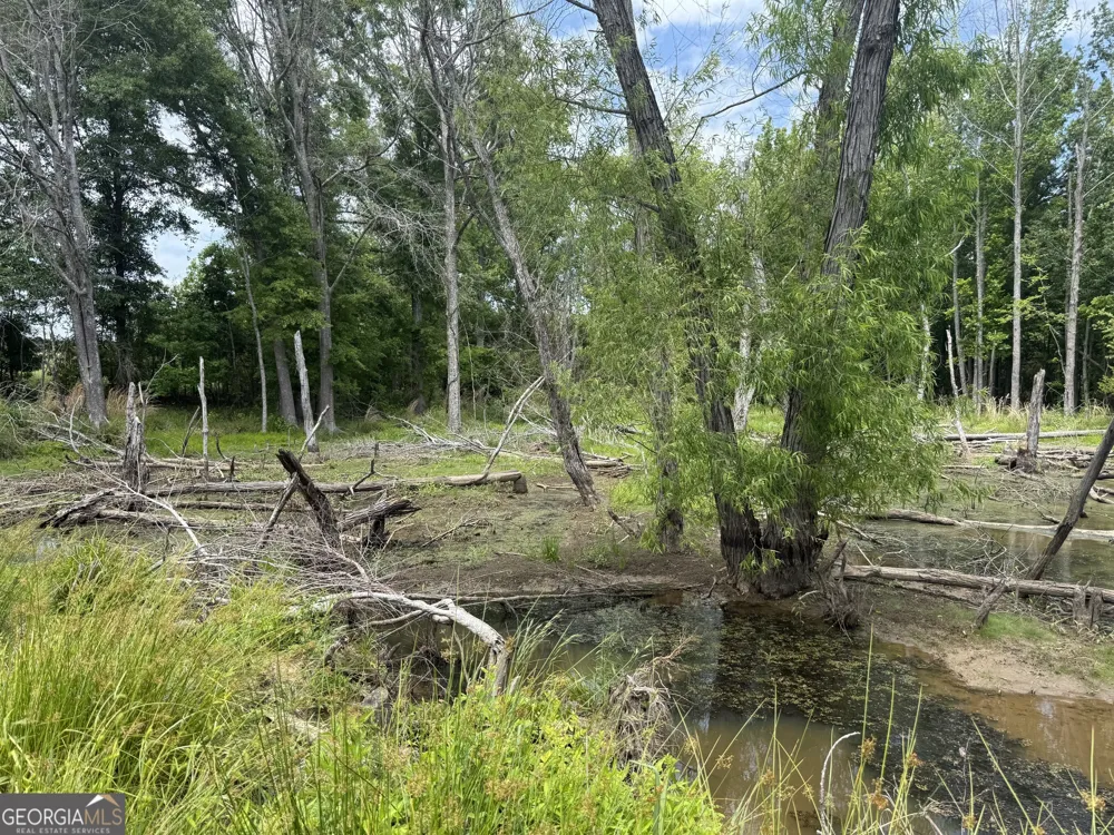 35 AC Hwy 109 Zebulon, GA 30295