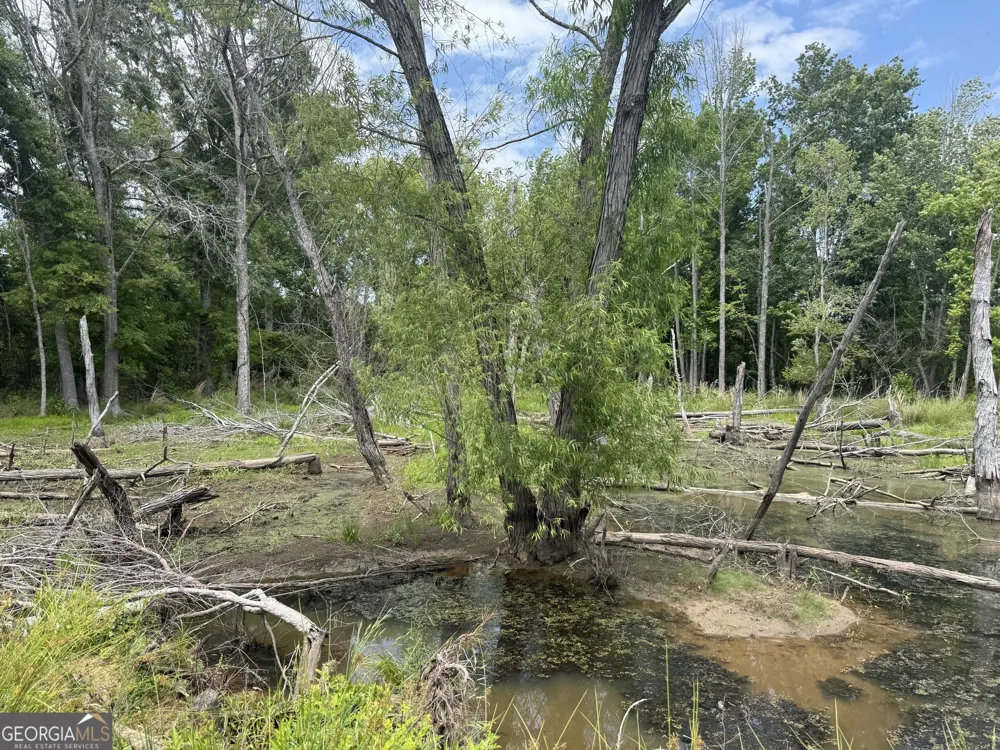 35 AC Hwy 109 Zebulon, GA 30295