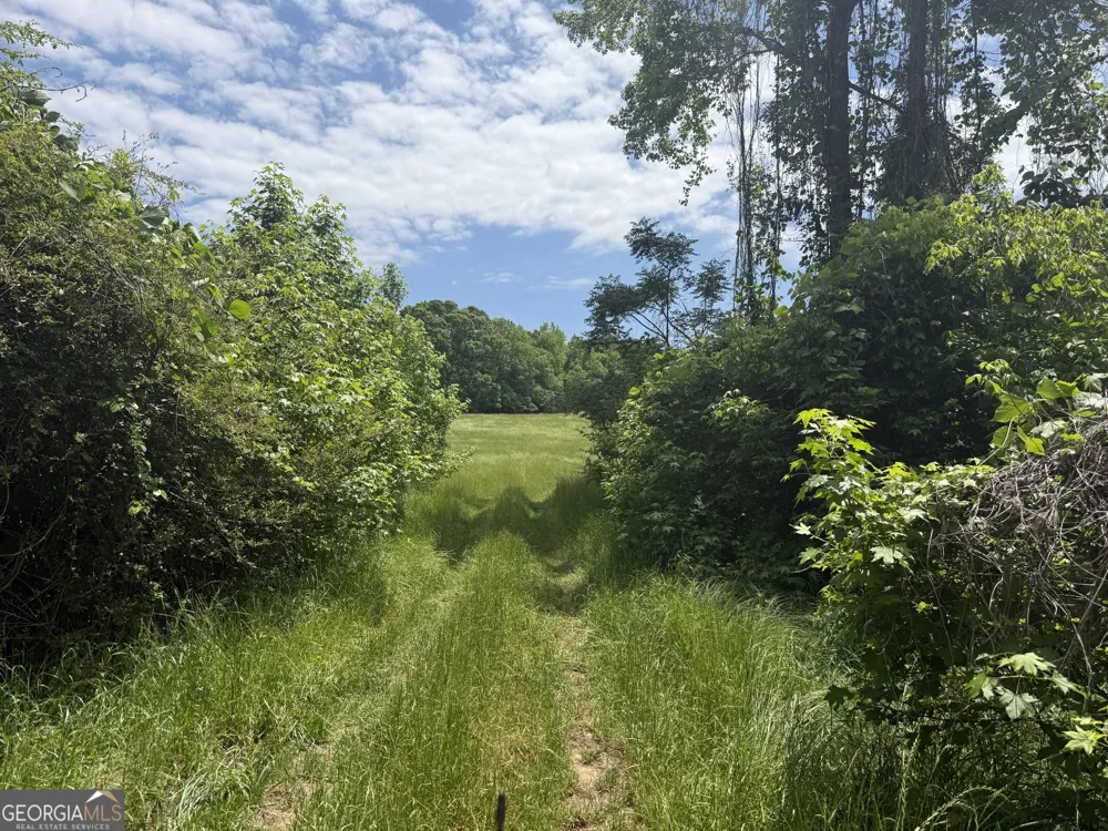 35 AC Hwy 109 Zebulon, GA 30295