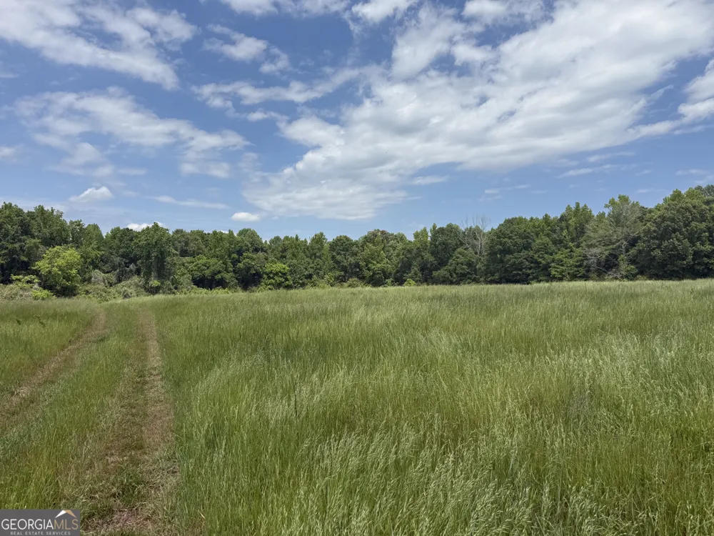 35 AC Hwy 109 Zebulon, GA 30295