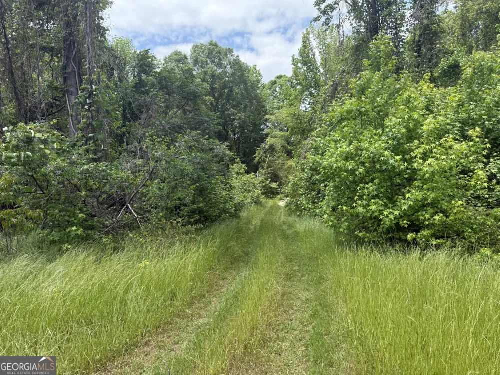 35 AC Hwy 109 Zebulon, GA 30295