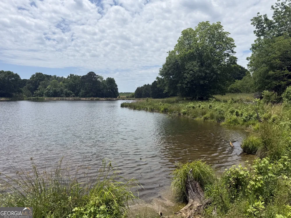 35 AC Hwy 109 Zebulon, GA 30295