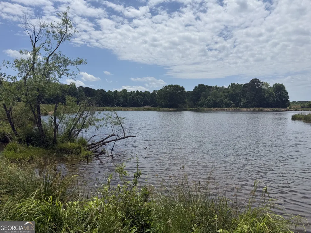 35 AC Hwy 109 Zebulon, GA 30295