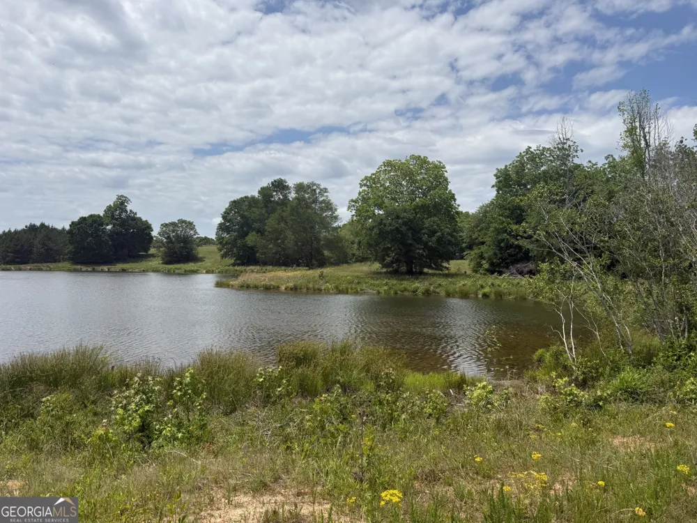 35 AC Hwy 109 Zebulon, GA 30295