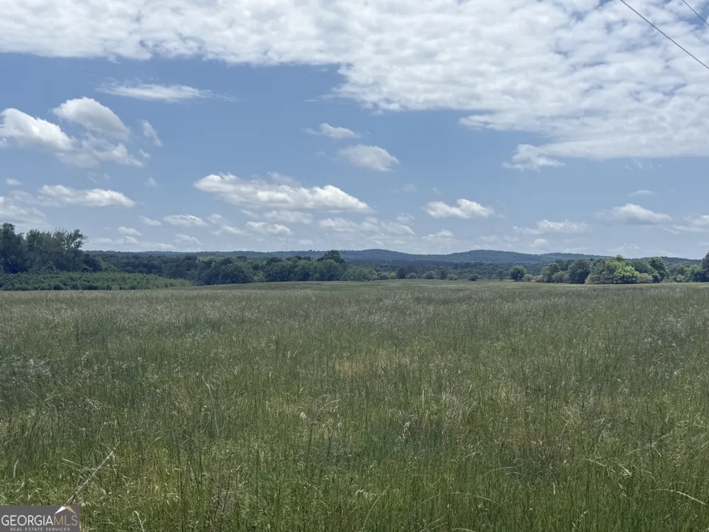 35 AC Hwy 109 Zebulon, GA 30295