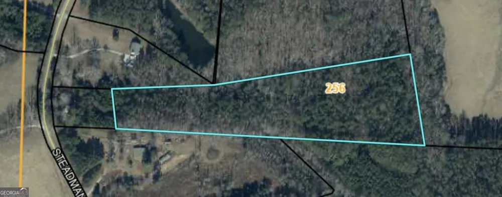 2448 Steadman RD Tallapoosa, GA 30176