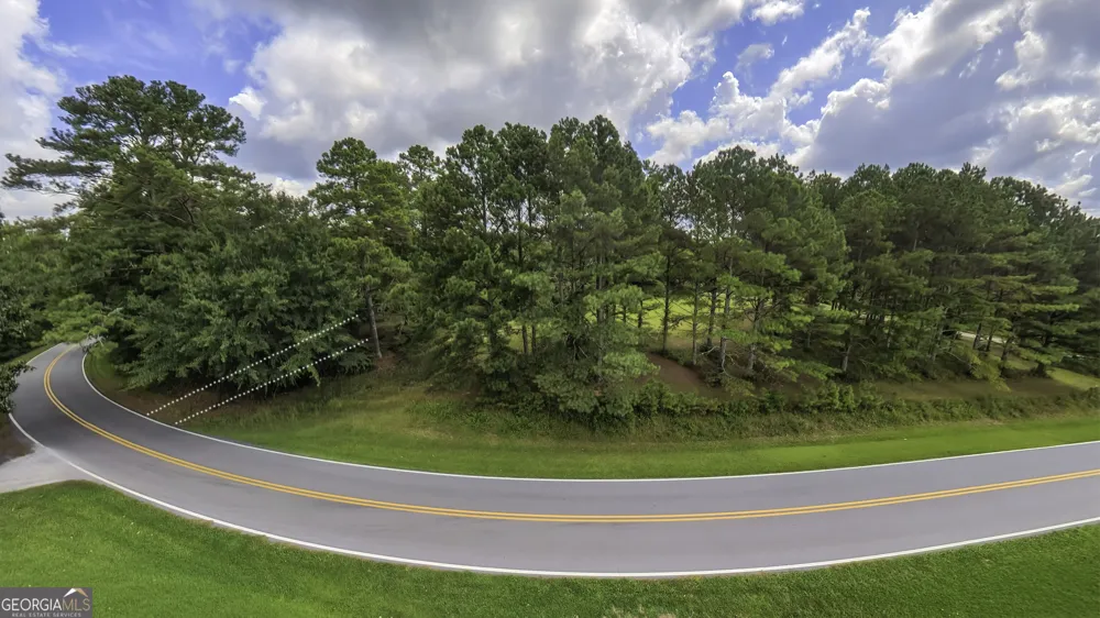 2448 Steadman RD Tallapoosa, GA 30176