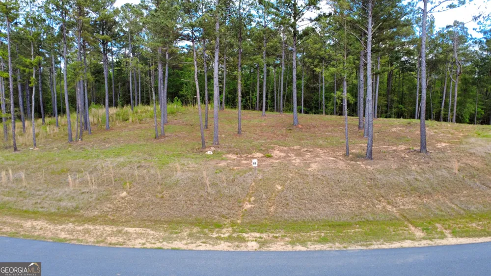 113 The Falls LN Milledgeville, GA 31061