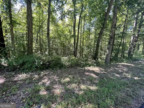 0 Old Draketown Trail (5.62 ac)