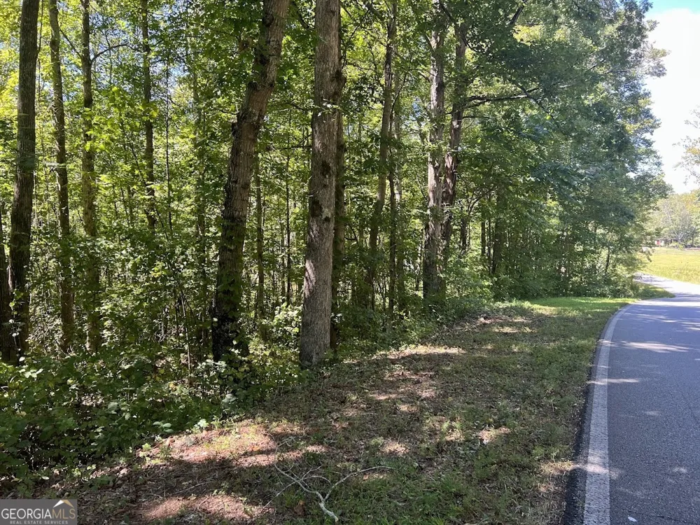 0 Old Draketown Trail (5.62 ac) Temple, GA 30179