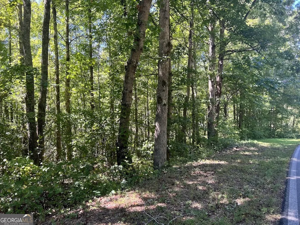 0 Old Draketown Trail (5.62 ac) Temple, GA 30179