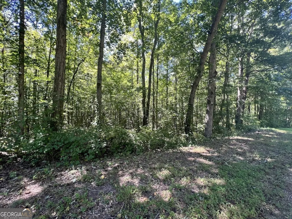 0 Old Draketown Trail (5.62 ac) Temple, GA 30179