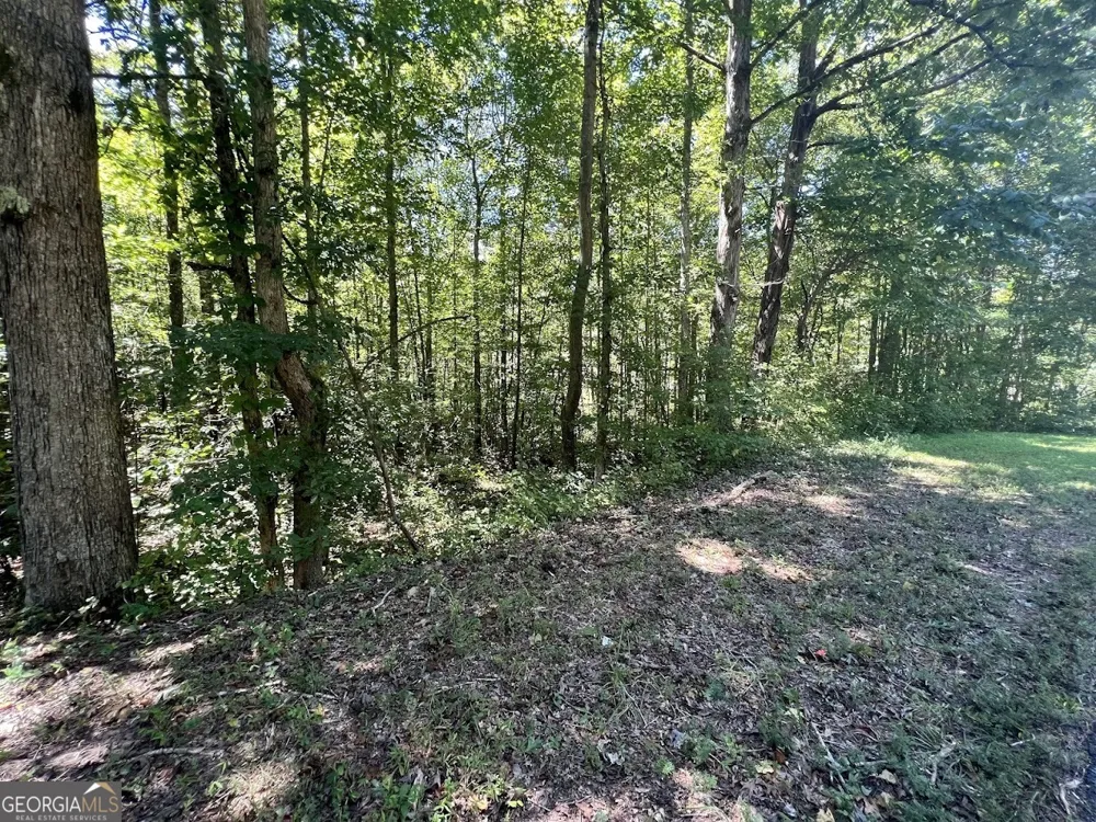 0 Old Draketown Trail (5.62 ac) Temple, GA 30179
