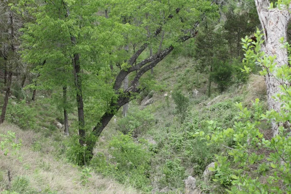 5135 Lookout Ridge Drive Marble Falls, TX 78654
