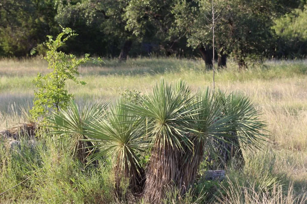 5135 Lookout Ridge Drive Marble Falls, TX 78654