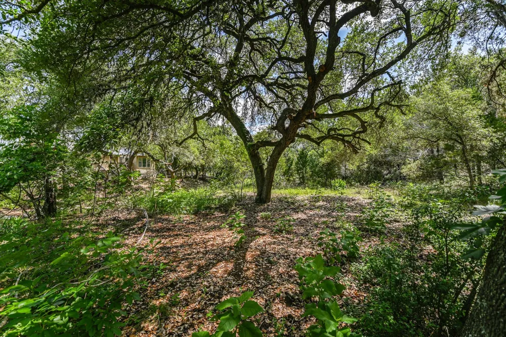 4553 McCall Creek Road Blanco, TX 78606