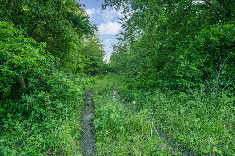 3150 Fm 272 Celeste, TX 75423