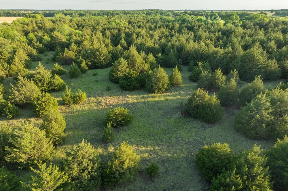 3150 Fm 272 Celeste, TX 75423
