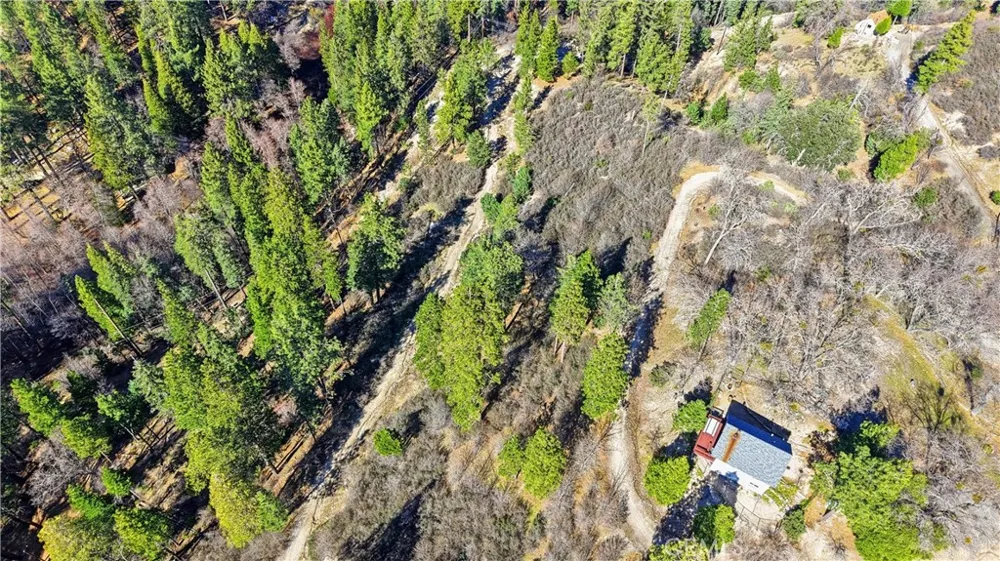Elder Drive Cedar Glen, CA 92321